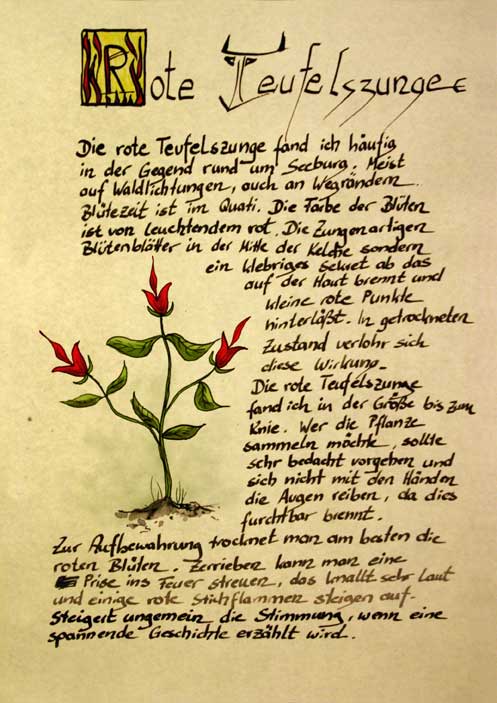 teufelszungeroteweb.jpg